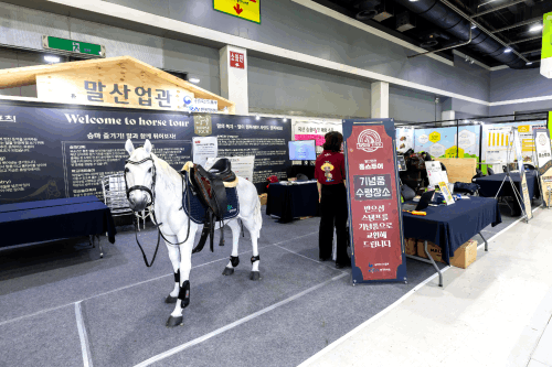 한국마사회 이미지 2